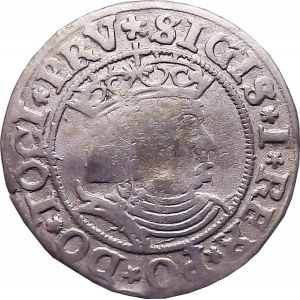 Sigismund I the Old, penny 1531, Torun PRV