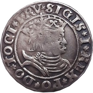 Zygmunt I Stary, grosz 1531, Toruń PRV