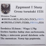 Zikmund I. Starý, penny 1531, Toruň