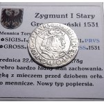 Zygmunt I Stary, grosz 1531, Toruń