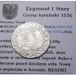 Sigismund I the Old, penny 1534, Toruń OKAZOWY