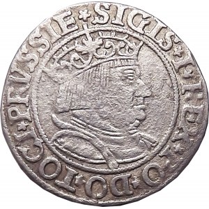 Sigismund I the Old, 1534 penny, Toruń VERY RARE