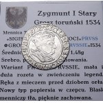 Sigismund I the Old, penny 1534, Toruń BEAUTIFUL