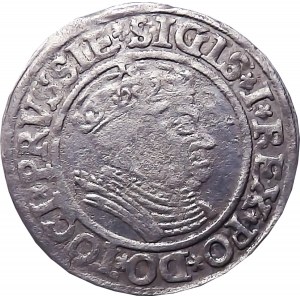 Zikmund I. Starý, penny 1534, Toruň