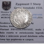 Zikmund I. Starý, penny 1534, Toruň