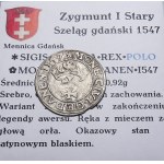 Sigismund I the Old, 1547 shilling, Gdansk BEAUTIFUL