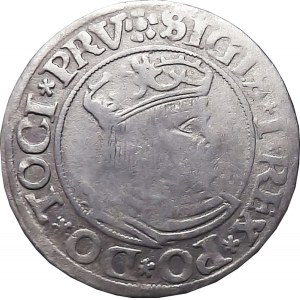 Sigismund I the Old, penny 1531, Gdansk PR
