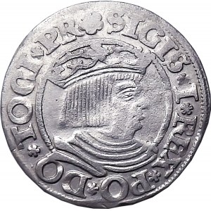 Sigismund I the Old, penny 1534, Gdansk PR BEAUTIFUL