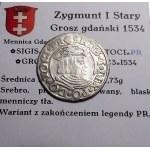 Zikmund I. Starý, penny 1534, Gdaňsk PR KRÁSNÝ