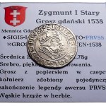 Sigismund I the Old, penny 1538, Gdansk PRVSS BEAUTIFUL