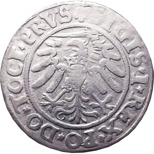Sigismund I the Old, penny 1533, Elblag, BEAUTIFUL