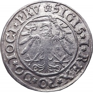 Sigismund I the Old, penny 1534, Elblag BEAUTIFUL