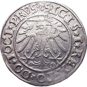 Sigismund I the Old, penny 1534, Elblag VERY BAD