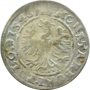 Sigismund I the Old, penny 1546, Cracow