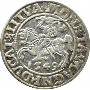 Sigismund II Augustus, half-penny 1549, Vilnius, LITVA/LI