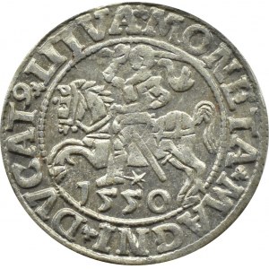 Sigismund II Augustus, half-penny 1550, Vilnius, LITVA/LI, WHEREAS