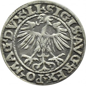 Zygmunt II August, półgrosz 1554, Wilno, LITVA/LI, BARDZO RZADKI