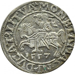 Zygmunt II August, półgrosz 1557, Wilno, LITVA/LI