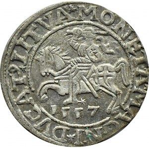 Sigismund II Augustus, half-penny 1557, Vilnius, LITVA/LI