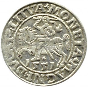 Sigismund II Augustus, half-penny 1551, Vilnius, LITVA/LI