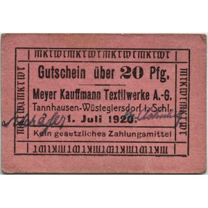 Tannhausen-Wüstegiersdorf/Jedlinka-Zdrój (Sliezsko), 20 Pfennig 1920, RARE
