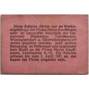 Tannhausen-Wüstegiersdorf/Jedlinka-Zdrój (Śląsk), 20 Pfennig 1920, RZADKIE