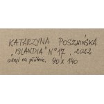 Katarzyna Poszwińska (ur. 1968), Islandia no. 17, 2022