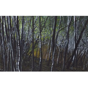 Luke Jacek (b. 1978), Beeches and birches 2, 2022