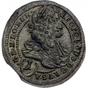 Leopold I., 1 Kreuzer 1698, Vienna