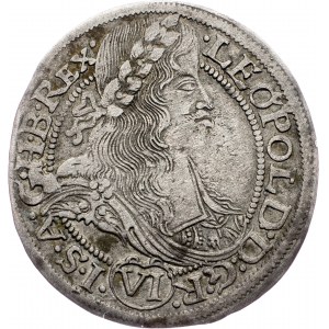 Leopold I., 6 Kreuzer 1665, FBL, Glatz