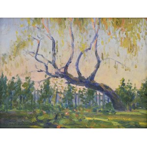 Oleksa Novakivskij - Aleksander NOWAKOWSKI (1872-1932), Landschaft mit Baum, 1913