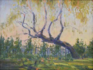 Oleksa Nowakiwskij - Aleksander NOWAKOWSKI (1872-1932), Pejzaż z drzewem, 1913