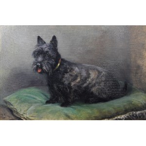 Zygmunt JÓZEFCZYK (1881-1966), Scottish Terrier