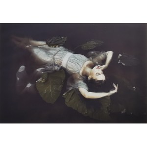 Dorota Górecka, Ophelia, 2020