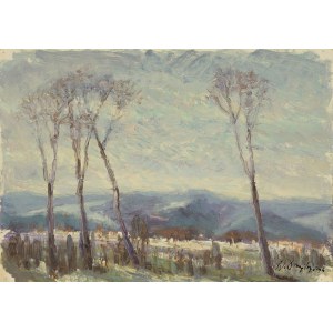 Wlodzimierz DMYTRYSZYN, Winter mountain landscape