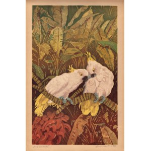 Alexander LASZENKO, White Parrots (Marriage)