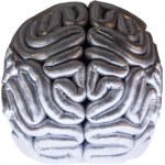 Iwona DEMKO (1974), The human brain before the socialization process - the silver brain; 2014