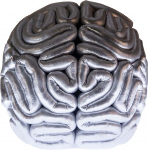 Iwona DEMKO (1974), Mózg ludzki przed procesem socjalizacji - mózg srebrny; 2014