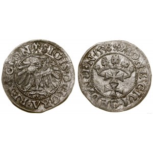 Polska, szeląg, 1538, Gdańsk