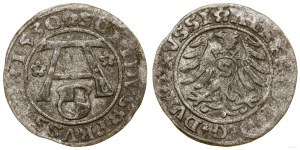 Prusy Książęce (1525-1657), szeląg, 1530, Królewiec