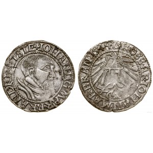 Schlesien, Pfennig, 1544, Krosno