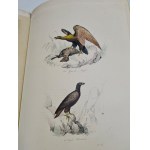 BUFFON - OEUVRES COMPLETES Paris 1839 BOOK OF CHARTORIES COLOR ILLUSTRATIONS BEAUTIFUL BINDING