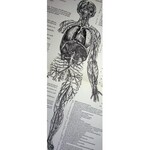 [MEDIZIN] [ANATOMIE] VESALIUS DE HUMANIC CORPORIS FABRICA ERSTES ILLUSTRIERTES LEHRBUCH DER ANATOMIE