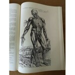 [MEDICÍNA] [ANATÓMIA] VESALIUS DE HUMANIC CORPORIS FABRICA PRVÁ ILUSTROVANÁ UČEBNICA ANATÓMIE