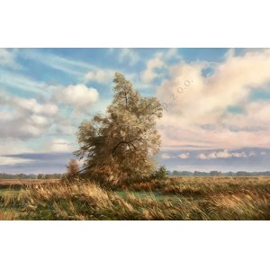 Wojciech Piekarski, Baum-Landschaft (2017)