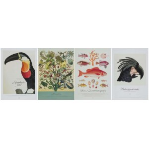 Set of four collectible posters Plants and animals
