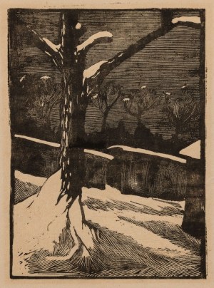 Jadwiga RUSIECKA-KRAWCZYŃSKA