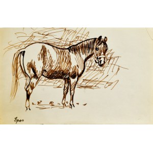Ludwik MACIĄG (1920-2007), Skizze eines Pferdes - Episches Braun und Schwarz