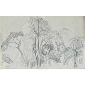 Wojciech WEISS (1875-1950), Trees in the Garden