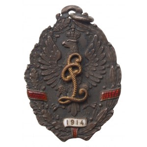 Legion Puławski - rzadka i piękna odznaka